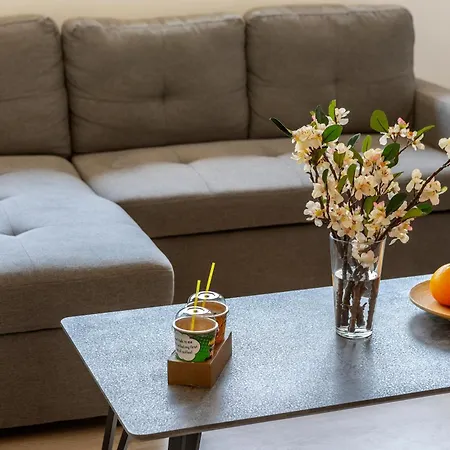Apartment C-premium Apts 100m From And Centre