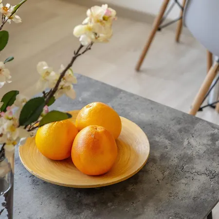 Apartament C-premium Apts 100m From And Centre